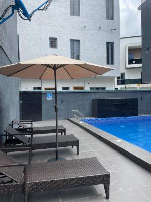 Luxurious 2 Bedroom Flat + Private Backyard + Gym & Pool, Ikate, Ikate, Lekki, Lagos, Flat / Apartment for Rent