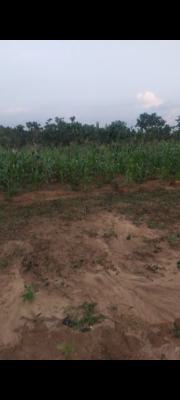 Land, Guzape District, Abuja, Residential Land for Sale