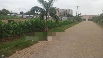 1.345  Hectares Land for Hospital Purpose on a Tarred Road, Durumi Area1 By America International School, Durumi, Abuja, Commercial Land for Sale