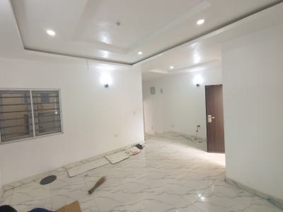 Newly Built 3 Bedroom Terrace Duplex with Bq, Naf Valley Estate, Asokoro District, Abuja, House for Rent