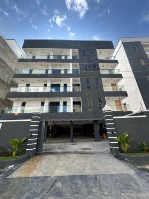Outstanding Luxury Spacious 2 Bedroom Apartment with Elevator, Ikate, Lekki, Lagos, Flat / Apartment for Sale