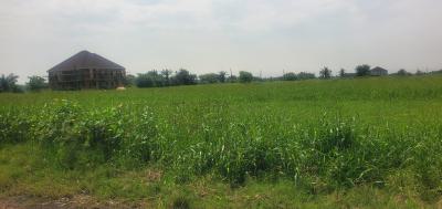 Full Plot of Land at Opic Estate, Opic Estate Lagos, Opic, Isheri North, Lagos, Residential Land for Sale
