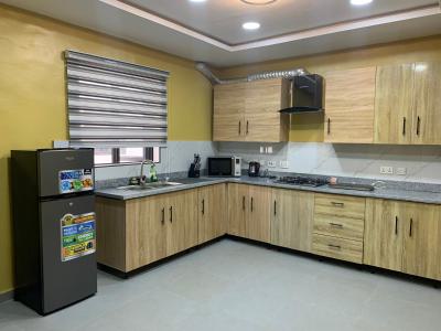 Furnished Brandnew 4 Bedroom Terrace Duplex Plus 1 Room Bq Located in, Adeniyi Jones, Ikeja, Lagos, Terraced Duplex for Rent