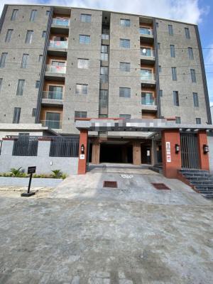 Stunning 2 Bedroom Apartment with a Gym Pool and Elevator, Ikate, Lekki, Lagos, Flat / Apartment for Sale