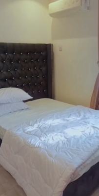 Long Lease Investment Opportunity  Discover a Modern, Fully Furnished, Ogudu, Lagos, Mini Flat (room and Parlour) for Rent