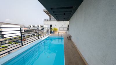 Luxury 1 Bedroom Apartment with Rooftop Pool, Oniru, Victoria Island (vi), Lagos, Flat / Apartment Short Let