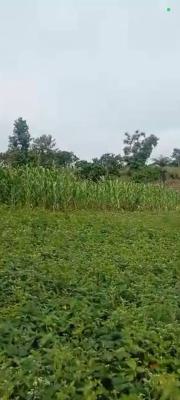 Mass Housing Land Measuring 4.40ha, Wasa, Apo, Abuja, Mixed-use Land for Sale