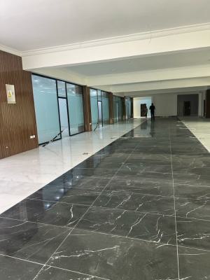 a Luxurious Fully Serviced Open Plan Office Space, Lekki Phase 1, Lekki, Lagos, Office Space for Rent