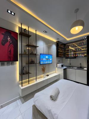 New Luxury Cozy Studio Apartment with Wine Cellar, Oniru, Victoria Island (vi), Lagos, Self Contain (single Rooms) Short Let