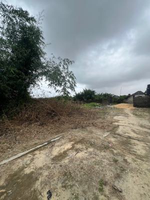 Prime Land  670sqm in a Serene Estate, Sangotedo, Ajah, Lagos, Land for Sale