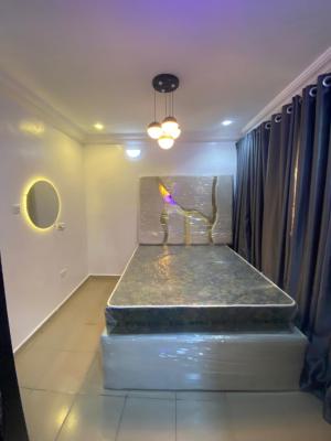 Sharp Mini Flat in an Estate, Sangotedo, Sangotedo, Ajah, Lagos, Mini Flat (room and Parlour) for Rent