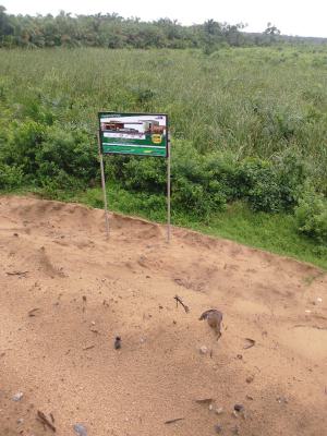 Premium Affordable Land Facing The Coastal Road, Orimedu, Ibeju Lekki, Lagos, Land for Sale