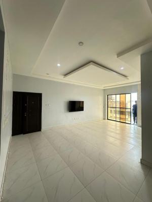 Luxury 2 Bedroom Flat, Ikate, Lekki, Lagos, Terraced Duplex for Rent