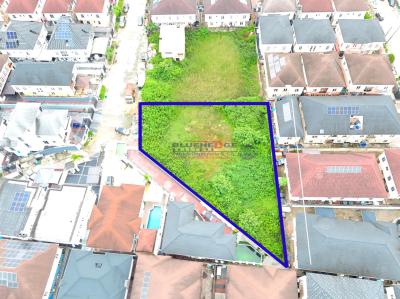 Land Measuring 1300 Square Metres in an Estate, Chevron, Lekki, Lagos, Residential Land for Sale