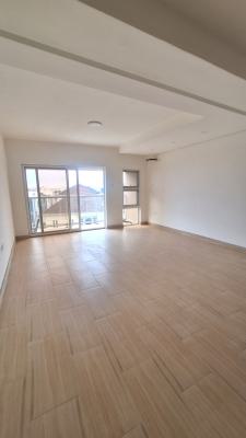 2 Bedroom Apartment, Ikate, Ikate, Lekki, Lagos, Flat / Apartment for Rent