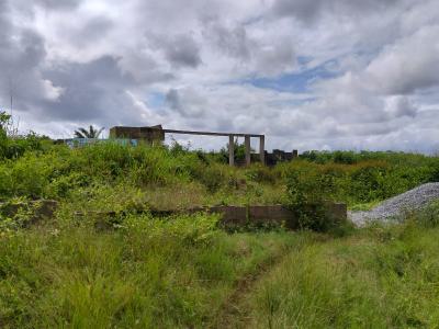 Land with C of O Suitable for Residential, Townville Estate , Behind Beechwood Estate, Shapati, Ibeju Lekki, Lagos, Residential Land for Sale