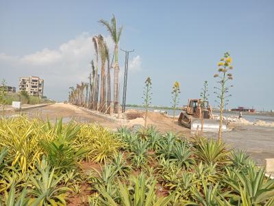 Prime Location Land with Certificate of Occupancy C of O, Fresh Water Garden Located at Itedo Waterfront, Lagoon Off Freedom Way, Lekki Phase 1, Lekki, Lagos, Residential Land for Sale