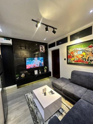 Spacious Mini Flat, Lekki Phase 1, Lekki, Lagos, Flat / Apartment for Rent