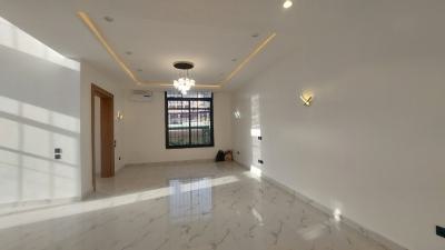 Newly Finished Serviced 4-bedroom  Duplex with Guest Chalet and 2 Bqs, Asokoro District, Abuja, Terraced Duplex for Rent