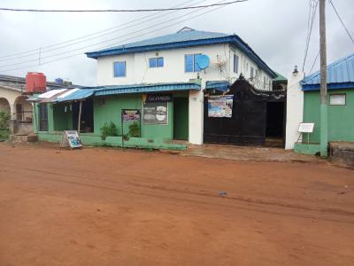 a Hotel, Agric, Igando, Ikotun, Lagos, Hotel / Guest House for Sale