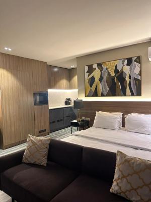 5 Units of Spacious Premium Luxurious Studio Apartments, Onike, Yaba, Lagos, Self Contain (single Rooms) Short Let