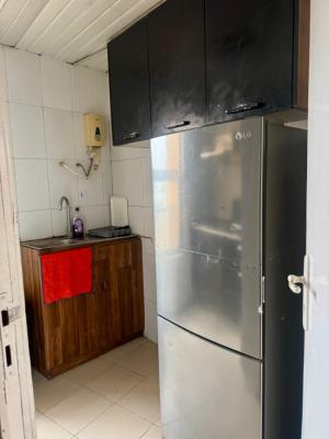 Serviced Furnished Mini Flat with 24 Hours Light, 1004 Estate, Victoria Island (vi), Lagos, Flat / Apartment for Rent