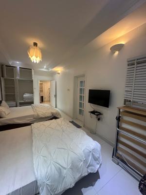 2 Bedroom Apartment, Banana Island, Ikoyi, Lagos, Flat / Apartment for Rent