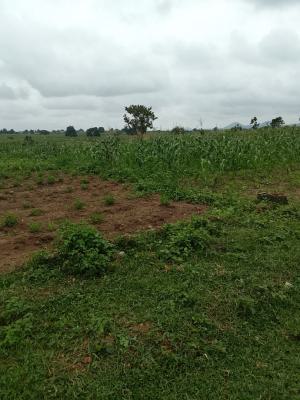 4 Bedroom Luxury Villa Pentloor Bq, Asokoro District, Abuja, Mixed-use Land for Sale