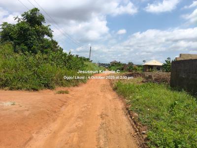1 Bedroom Bungalow on Full Plot of Land and Foundation, Baba Dada Street By Baba Dada Junction Ilu Oloye, Maya, Ikorodu, Lagos, Detached Bungalow for Sale