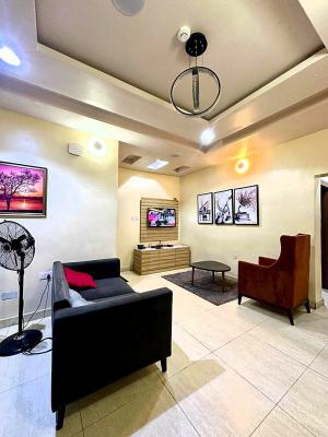 High Quality Furnished Luxury 2 Bedroom Apartment, Off Bode Thomas, Surulere, Lagos, Flat / Apartment Short Let