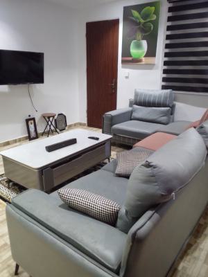 Two Bedroom Flat, Brains and Hammer Estate, Jakande, Lekki, Lagos, Flat / Apartment for Rent