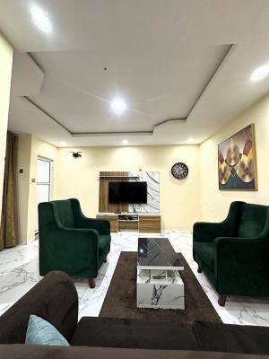 Nicely Furnished and Well Serviced Luxury 2 Bedroom Apartment, Off Adeniran Ogunsanya, Surulere, Lagos, Flat / Apartment Short Let