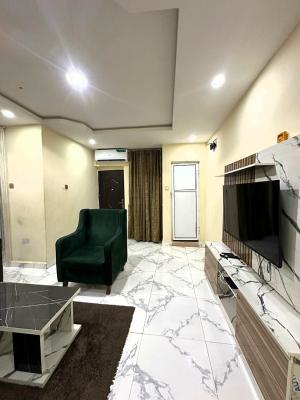 Nicely Furnished and Well Serviced Luxury 2 Bedroom Apartment, Off Adeniran Ogunsanya, Surulere, Lagos, Flat / Apartment Short Let
