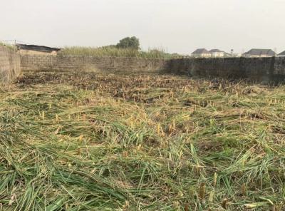 Land, Ogidan, Sangotedo, Ajah, Lagos, Mixed-use Land for Sale
