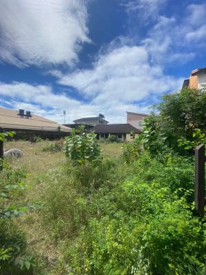 Bare Land Measuring 1139 Sqm in Marwa Lekki Right, By Pinnacle Filling Station Marwa Lekki Right, Lekki Phase 1, Lekki, Lagos, Land for Sale