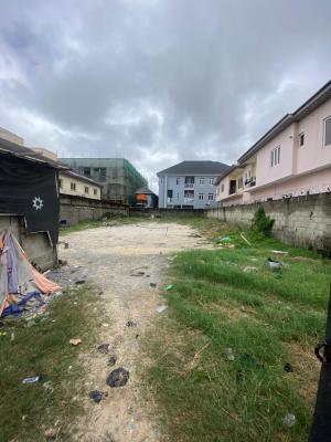 Bare Land Measuring 675 Sqm in Lekki Right, By Petrocam Filling Station Lekki Right, Lekki Phase 1, Lekki, Lagos, Land for Sale
