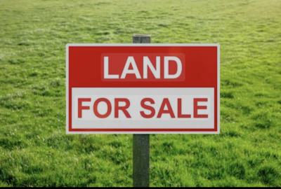 Primly Located Land, Ikate, Lekki, Lagos, Residential Land for Sale