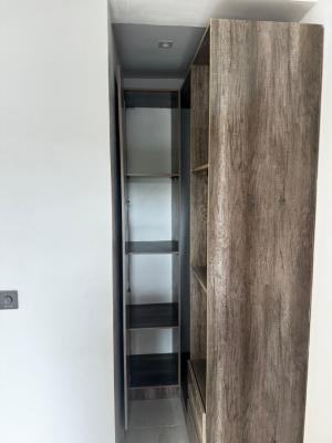 Newly Finished & Luxury 2-bedroom Apartment with 3 Balconyny (u, Conservation Road, Lekki, Lagos, Flat / Apartment for Rent