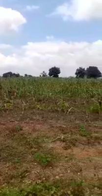 Massive Hectares of Dry Land for Development with No Premium, Lugbe District, Abuja, Mixed-use Land Joint Venture