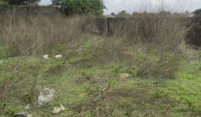 a Vacant Plot of Land, Anfani Junction Beside Glo Office, Challenge, Ibadan, Oyo, Mixed-use Land for Sale