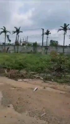 Massive Bare Land Available for Smart Investors, Acme Road, Ogba Industrial Estate, Ogba, Ikeja, Lagos, Mixed-use Land for Sale
