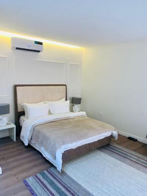 Luxury Studio Room, Parakou, Wuse 2, Abuja, Self Contain (single Rooms) Short Let