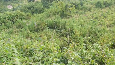 Land, Guzape District, Abuja, Residential Land for Sale