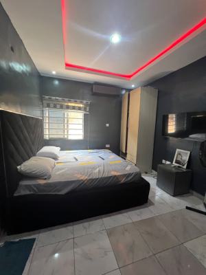Decent Furnished Studio Apartment in a Very Calm  Environment, Jibowu, Yaba, Lagos, Self Contain (single Rooms) for Rent