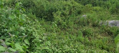 Land, Guzape District, Abuja, Residential Land for Sale