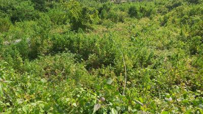 Land, Guzape District, Abuja, Residential Land for Sale