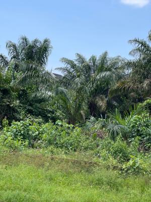 Land Measuring 578. 535 Square Metres, Fara Park, Sangotedo, Ajah, Lagos, Mixed-use Land for Sale
