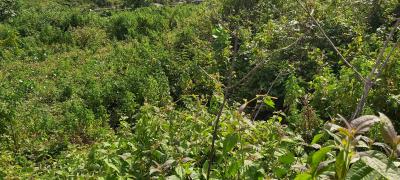 Land, Guzape District, Abuja, Commercial Land for Sale