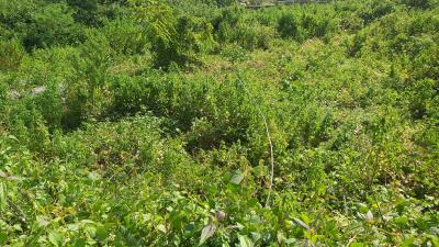 Land, Guzape District, Abuja, Commercial Land for Sale
