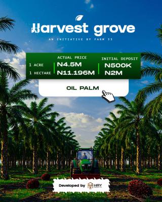 Agro Farm Land Investment and Expected Revenue, Ayepe, Odogbolu, Ijebu East, Ogun, Commercial Land for Sale